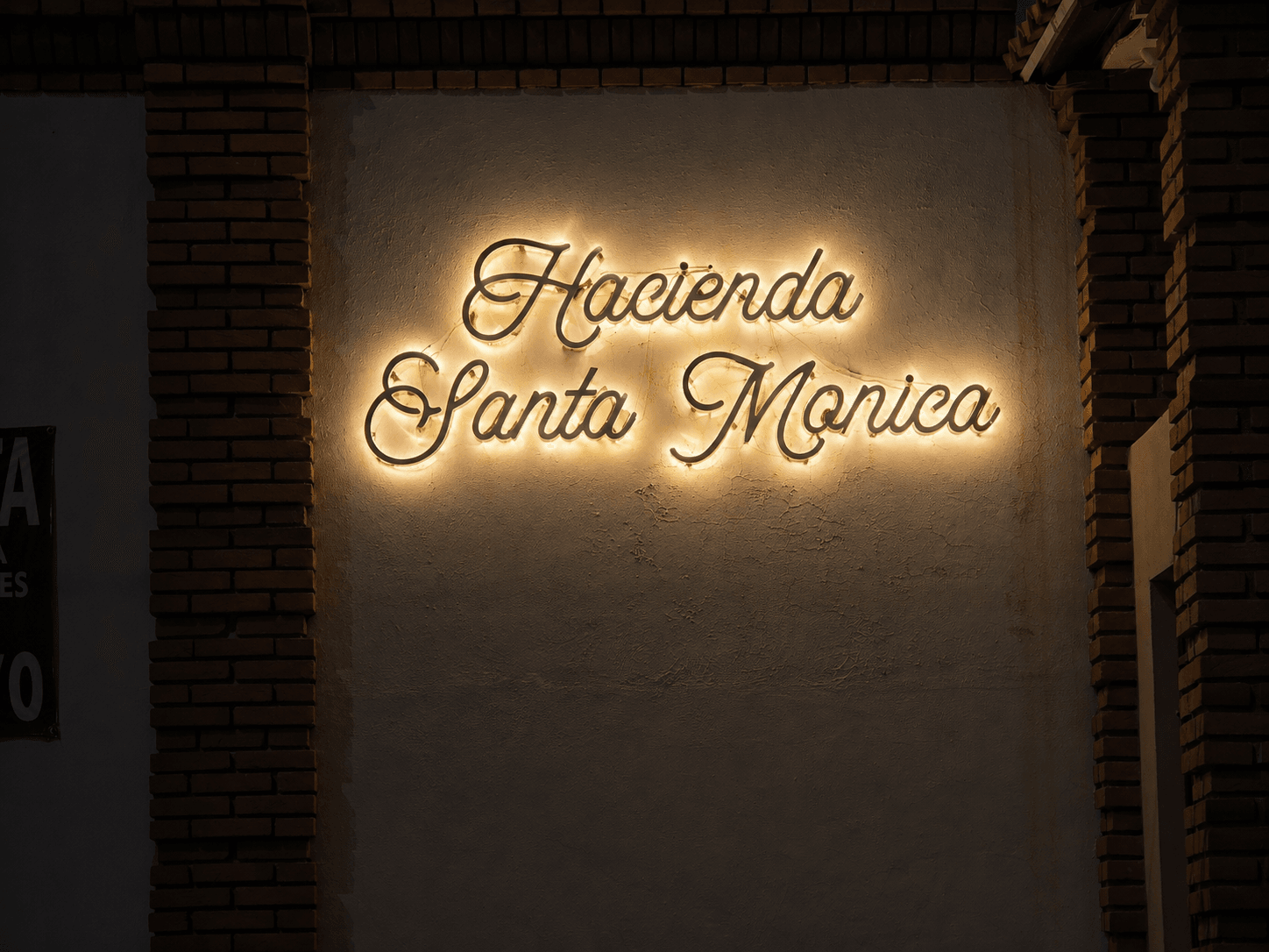 Iluminación Trasera